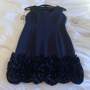 Donna Ricco Cupcake dress, Size 10. Never worn!
